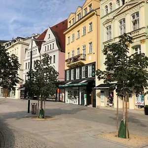 Orchidej U Vřídla Karlovy Vary